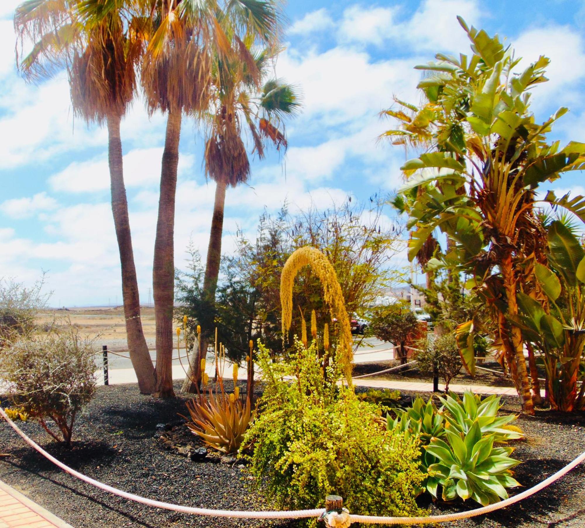Villa Casita La Caleta Fuerteventura Parque Holandes Exterior foto